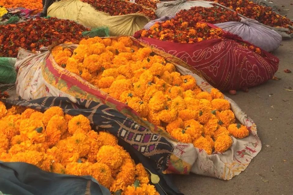 6-Day Golden Triangle Tour