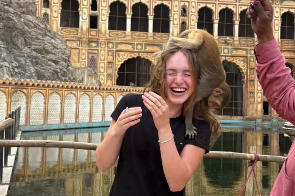 Pink City Day | Highlights of Jaipur